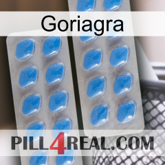 Goriagra 23